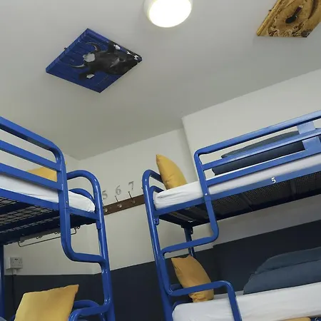 Hostel The Woodquay *